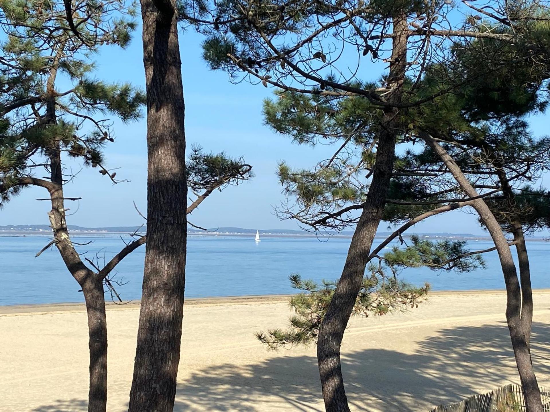 Hotel Particulier - Les Lodges Du Bassin D'Arcachon- Petit-Dejeuner Sur Demande- Prestations Haut De Gamme Гюжан-Местрас Экстерьер фото