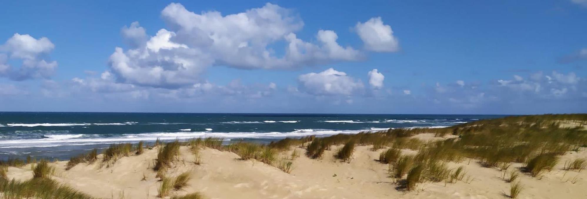 Hotel Particulier - Les Lodges Du Bassin D'Arcachon- Petit-Dejeuner Sur Demande- Prestations Haut De Gamme Гюжан-Местрас Экстерьер фото